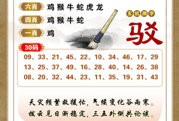 2025047期香港彩九肖30码中特
