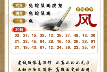 2026007期香港彩九肖30码中特