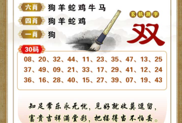 2026015期香港彩九肖30码中特