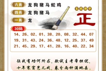 2026017期香港彩九肖30码中特