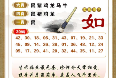 2026018期香港彩九肖30码中特