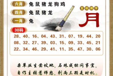 2026026期香港彩九肖30码中特