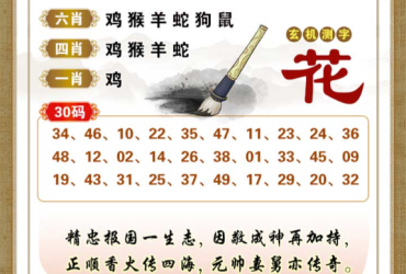2026031期香港彩九肖30码中特