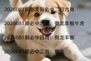 2026081期新澳彩必中二四六肖