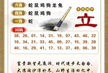 2026032期香港彩九肖30码中特