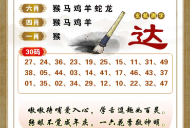 2026035期香港彩九肖30码中特