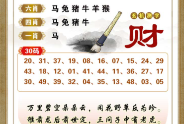 2026038期香港彩九肖30码中特