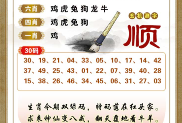 2026041期香港彩九肖30码中特