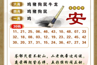 2026043期香港彩九肖30码中特