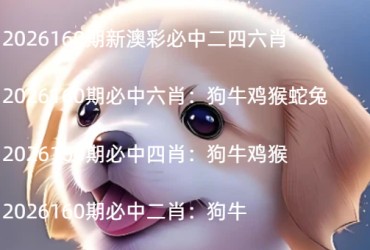 2026160期新澳彩必中二四六肖