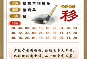 2026064期香港彩九肖30码中特