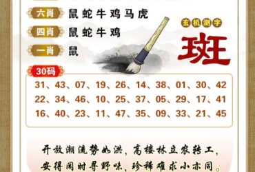 2026068期香港彩九肖30码中特