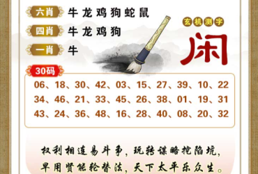 2026074期香港彩九肖30码中特