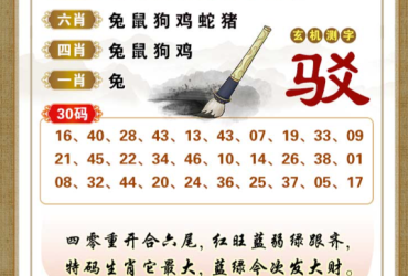 2026078期香港彩九肖30码中特