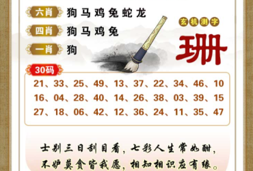 2026080期香港彩九肖30码中特
