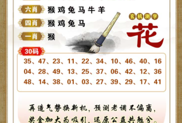 2026081期香港彩九肖30码中特