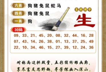 2026086期香港彩九肖30码中特