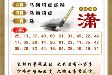 2026091期香港彩九肖30码中特