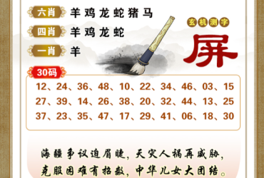 2026093期香港彩九肖30码中特