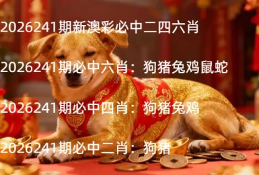 2026241期新澳彩必中二四六肖