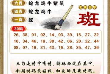2026104期香港彩九肖30码中特