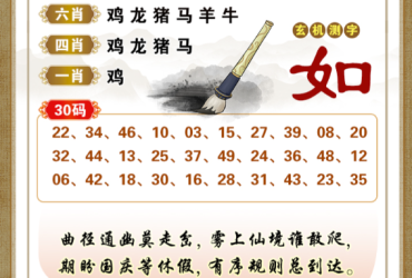 2026112期香港彩九肖30码中特